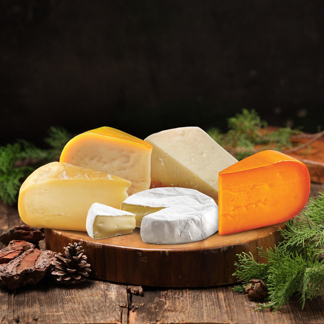 Casari Artisan Tanışma  Seti